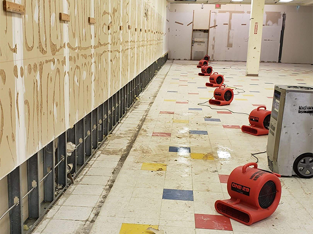 Removed parts of wall for better drying with equipment