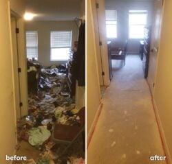 Hoarding Clean Out, Before & After